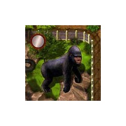 Zooloretto: Gorilla