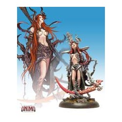 Anima. Shinigami Ayl