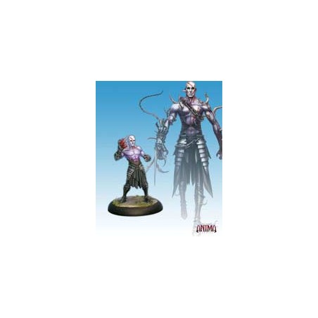 Anima. Type-005 Warrior