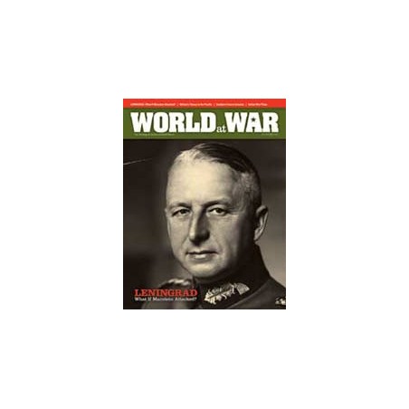 World at War 17: Leningrad '41