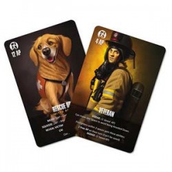 Flash Point: Fire Rescue -...