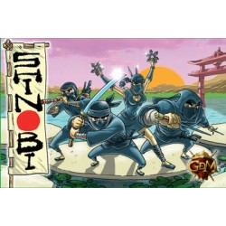 Shinobi Assasins