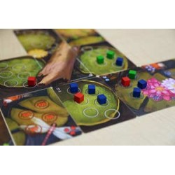 Bullfrogs