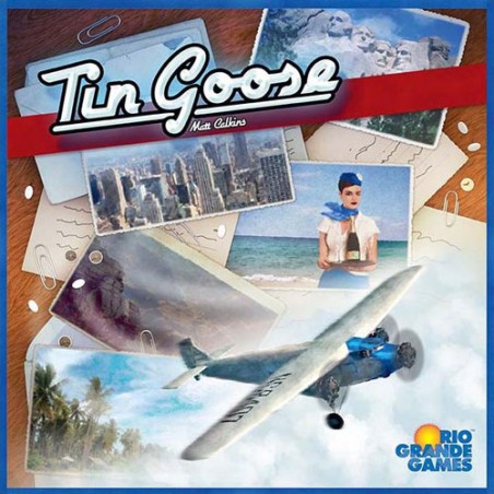 Tin goose