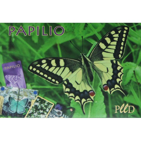 Papilio