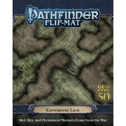 Pathfinder Flip-Mat:...