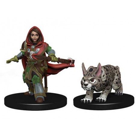 WizKids Wardlings: Girl...