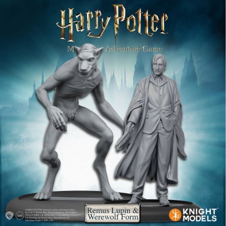 Harry Potter Miniatures:...