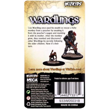 WizKids Wardlings: Boy...