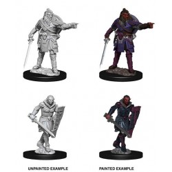D&D Nolzur's Marvelous...