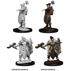 D&D Nolzur's Marvelous...