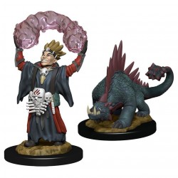 WizKids Wardlings: Boy...