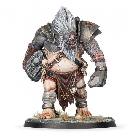 Warhammer Age of Sigmar:...