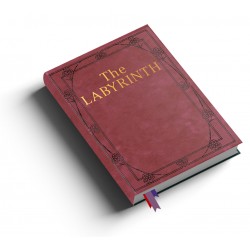 Labyrinth The Adventure...