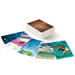Dixit Mirrors