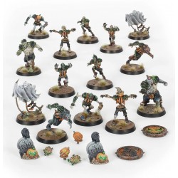 Blood Bowl: Equipo...