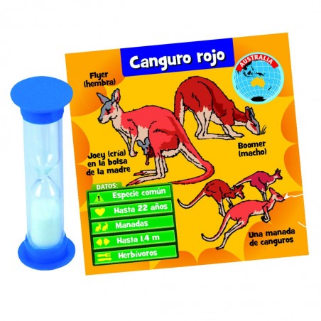 BrainBox Animales