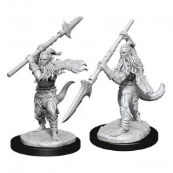 D&D Nolzur's Marvelous...