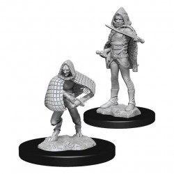 D&D Nolzur's Marvelous...