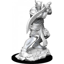 D&D Nolzur's Marvelous...