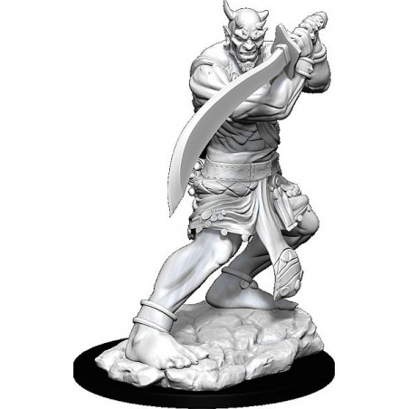 D&D Nolzur's Marvelous...