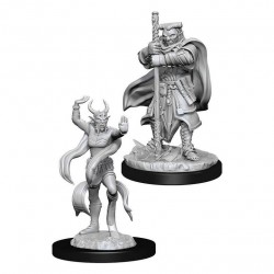 D&D Nolzur's Marvelous...
