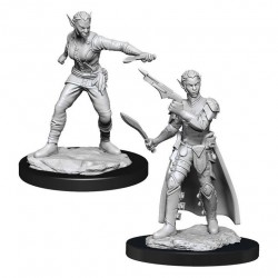 D&D Nolzur's Marvelous...