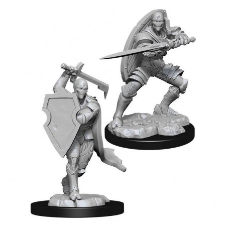D&D Nolzur's Marvelous...