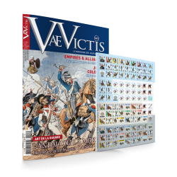 VaeVictis 141 Game issue...