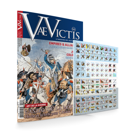 VaeVictis 141 Game issue...