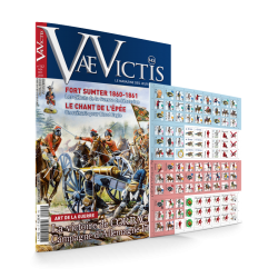 VaeVictis 142 Game issue...