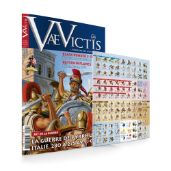VaeVictis 143 Game issue...