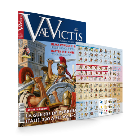 VaeVictis 143 Game issue...