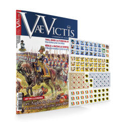 VaeVictis 144 Game issue...