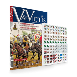 VaeVictis 147 Game issue...