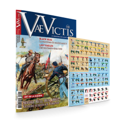 VaeVictis 148 Game issue...