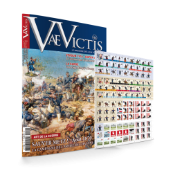 VaeVictis 152 Game issue...