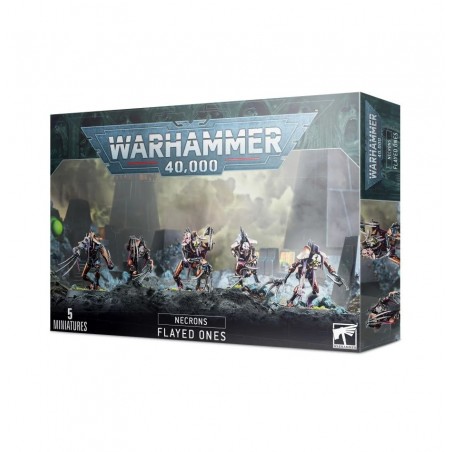 Warhammer 40.000: Necrones....