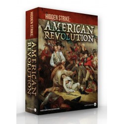 Hidden Strike: American...