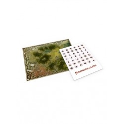 Forbidden Lands. Mapa +...