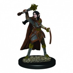 D&D Icons of the Realms...
