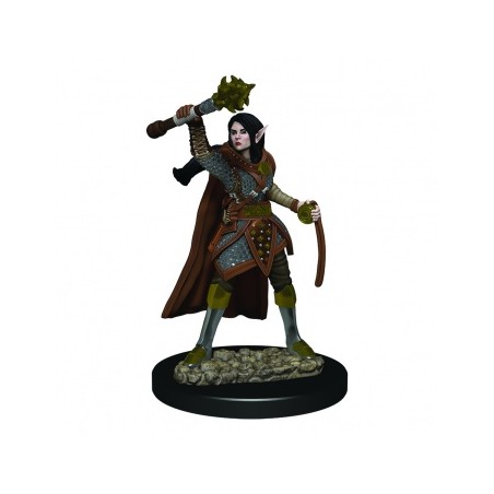 D&D Icons of the Realms...