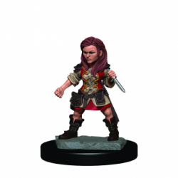D&D Icons of the Realms...