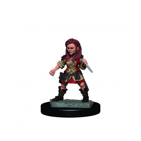 D&D Icons of the Realms...