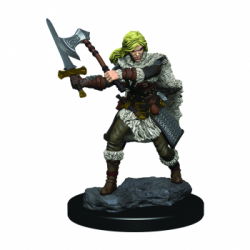 D&D Icons of the Realms...