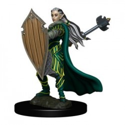 D&D Icons of the Realms...