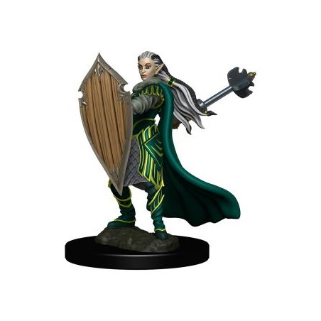 D&D Icons of the Realms...