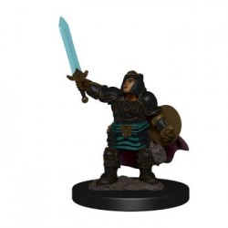 D&D Icons of the Realms...