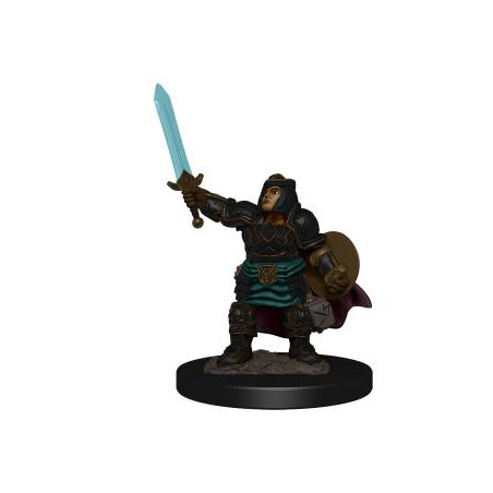 D&D Icons of the Realms...