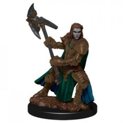 D&D Icons of the Realms...